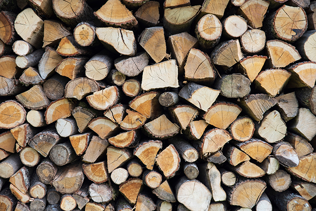 Holz spalten vor Ort von gefällten Bäumen
