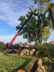 Spezialbaumfällung in Gilching und Umgebung